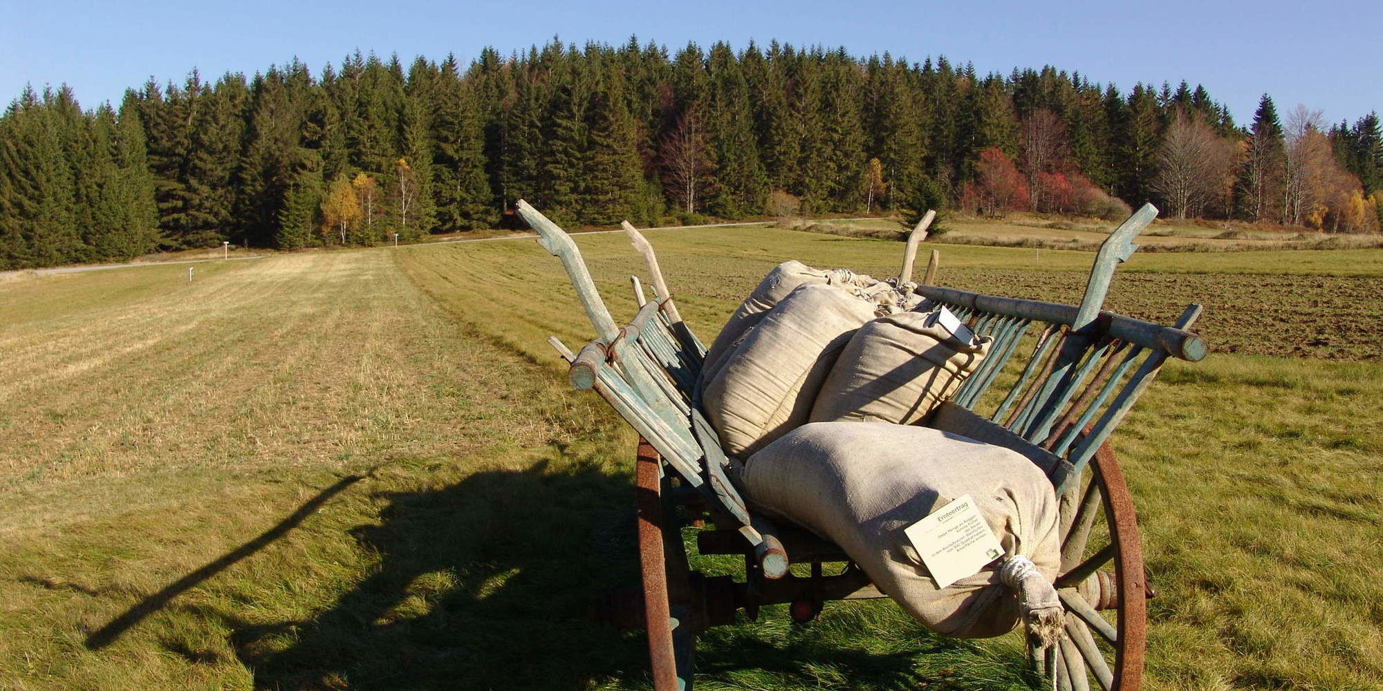 Ausflugsziele Bayerischer Wald - Ostbayern - Bergdorf Chaletdorf Bayerischer Wald