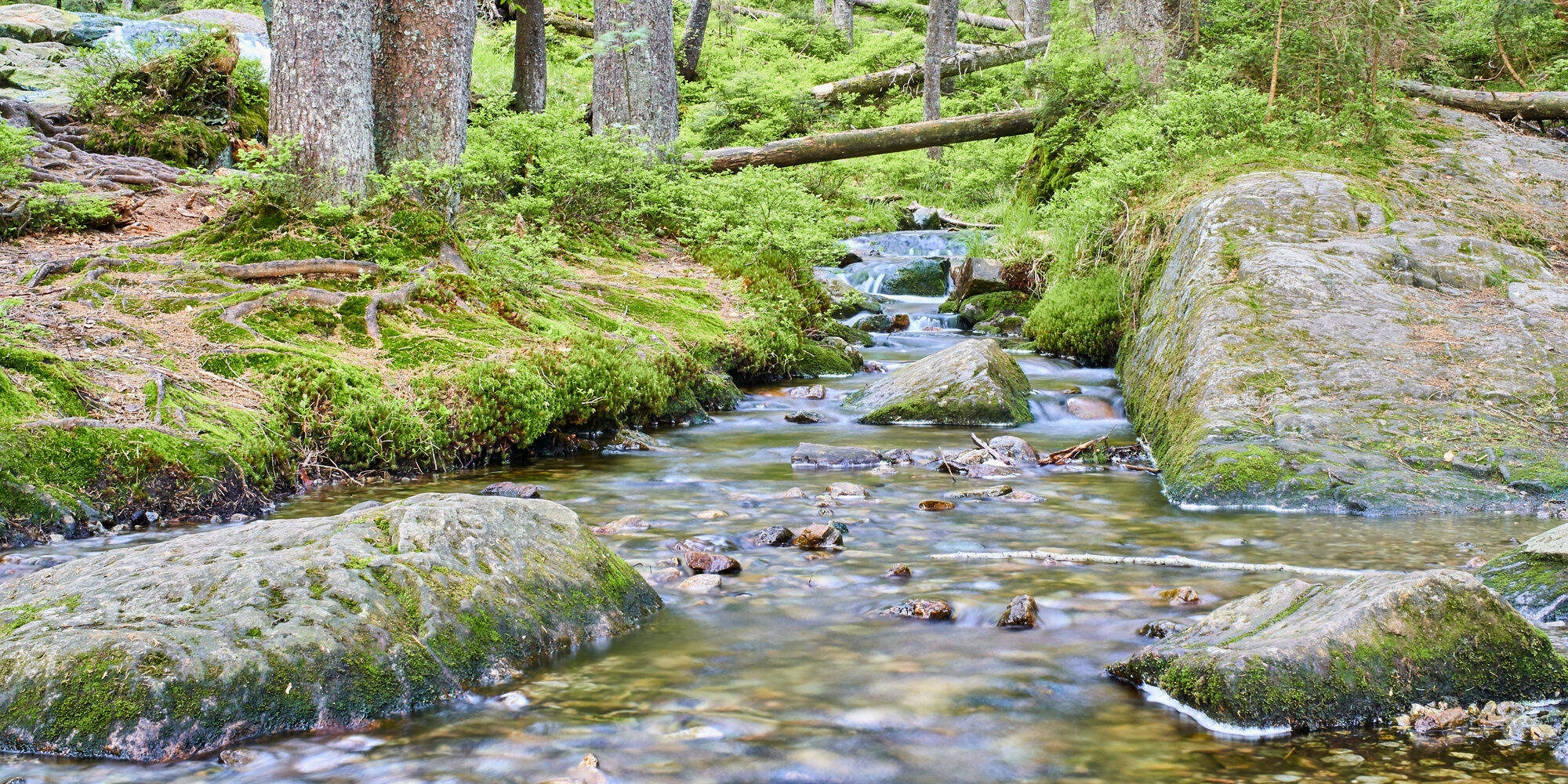 Urlaub Bayerischer Wald