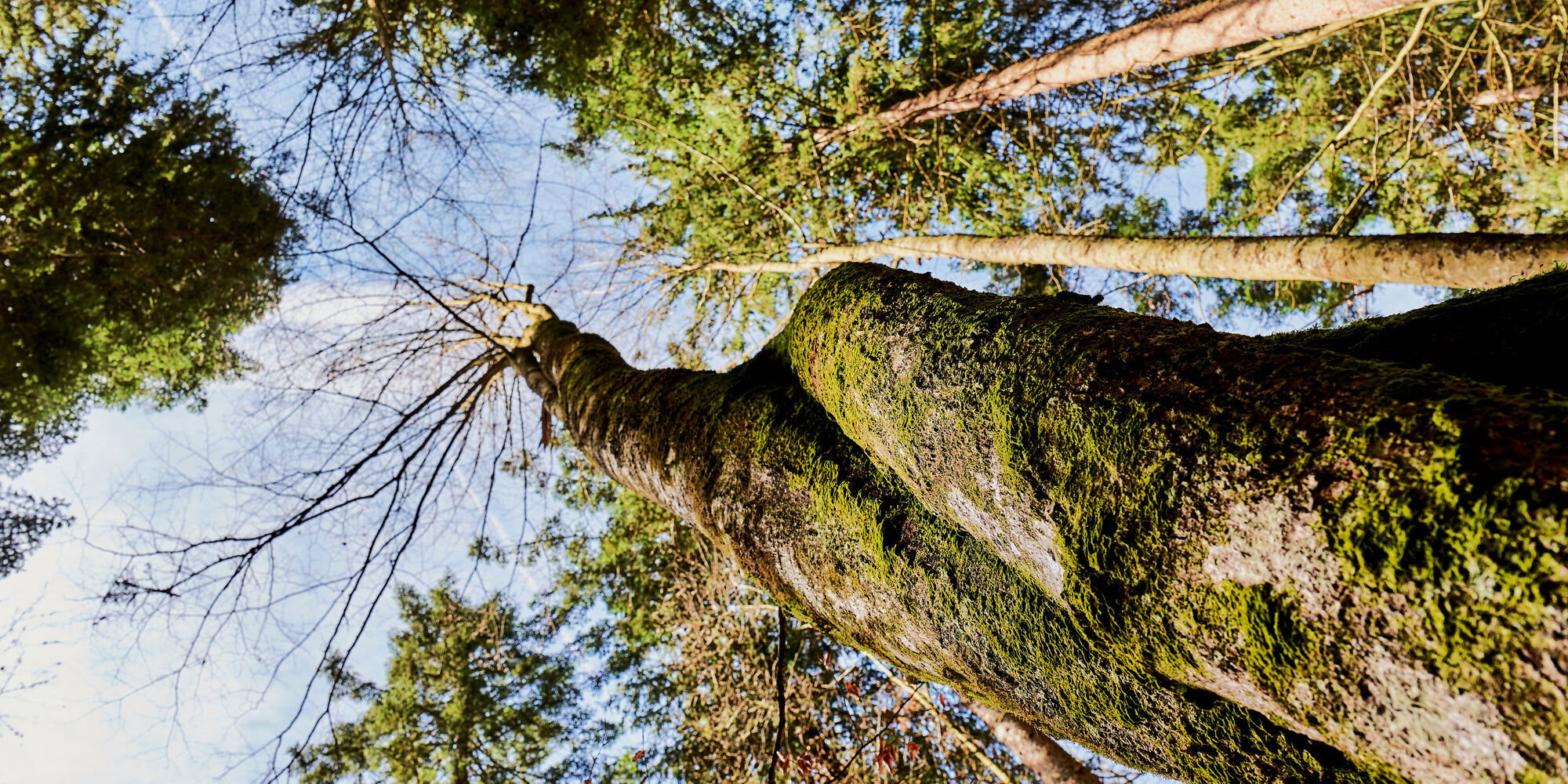 Wandern im Urlaub Bayerischer Wald