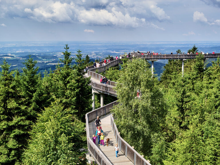 Baumwipfelpfad in Sankt Englmar im Bayerischen Wald.