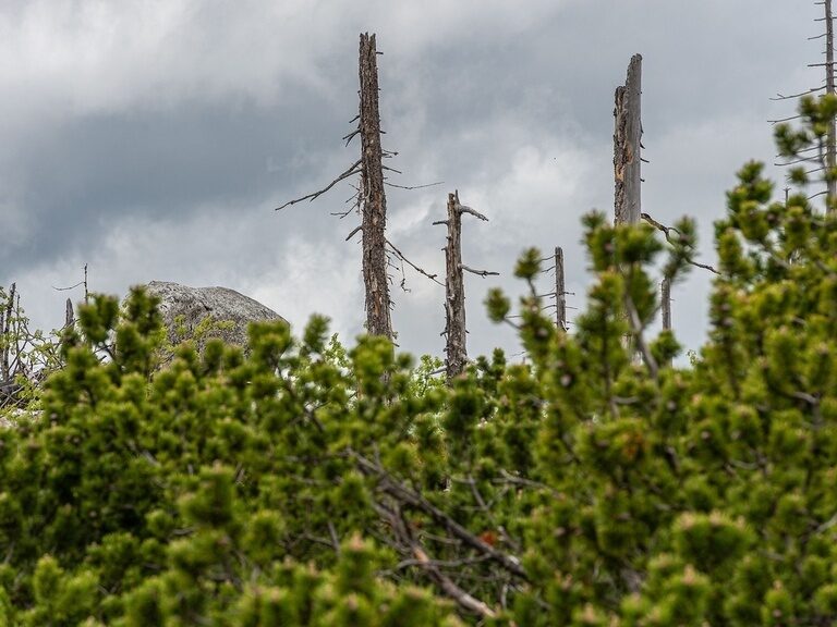 Blauer, beleuchteter Außenpool, umgeben von Liegen und Sonnenschirmen auf grüner Wiese