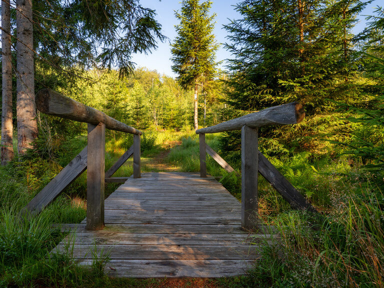 Blauer, beleuchteter Außenpool, umgeben von Liegen und Sonnenschirmen auf grüner Wiese