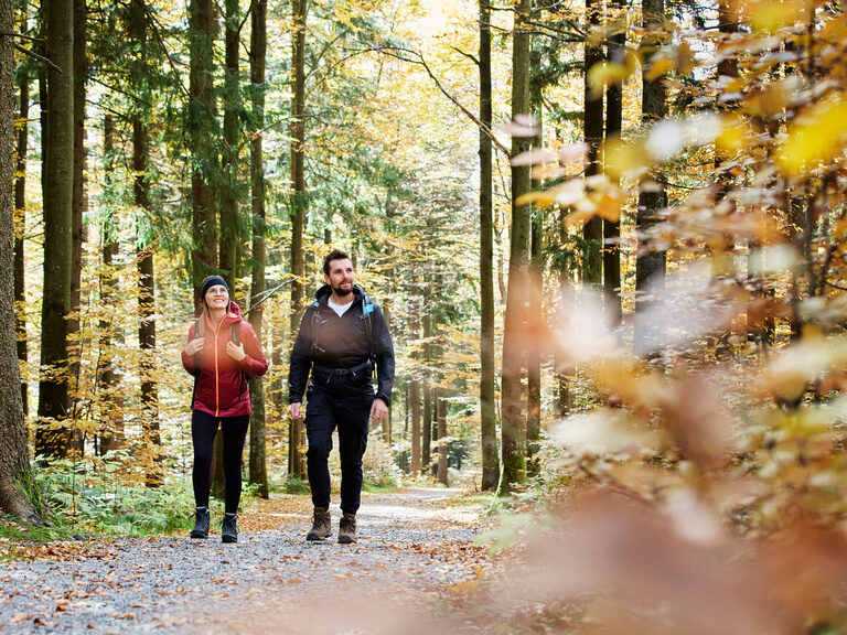 Blauer, beleuchteter Außenpool, umgeben von Liegen und Sonnenschirmen auf grüner Wiese