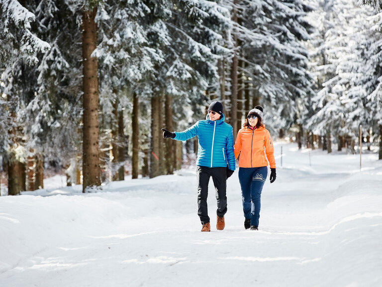 Skifahrer bei winterlicher Abfahrt im Bayerischen Wald, Ansicht von hinten