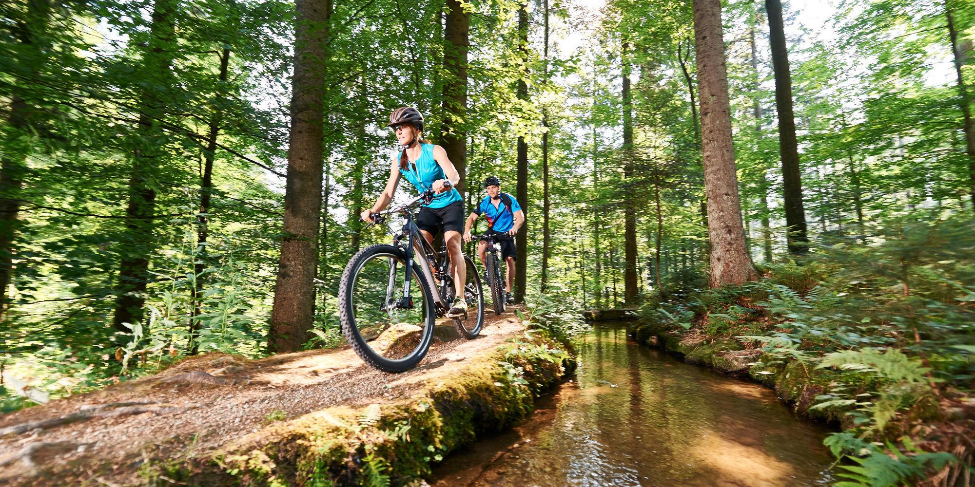 Grünes Blätterdach Bayerischer Wald vom Bergdorf