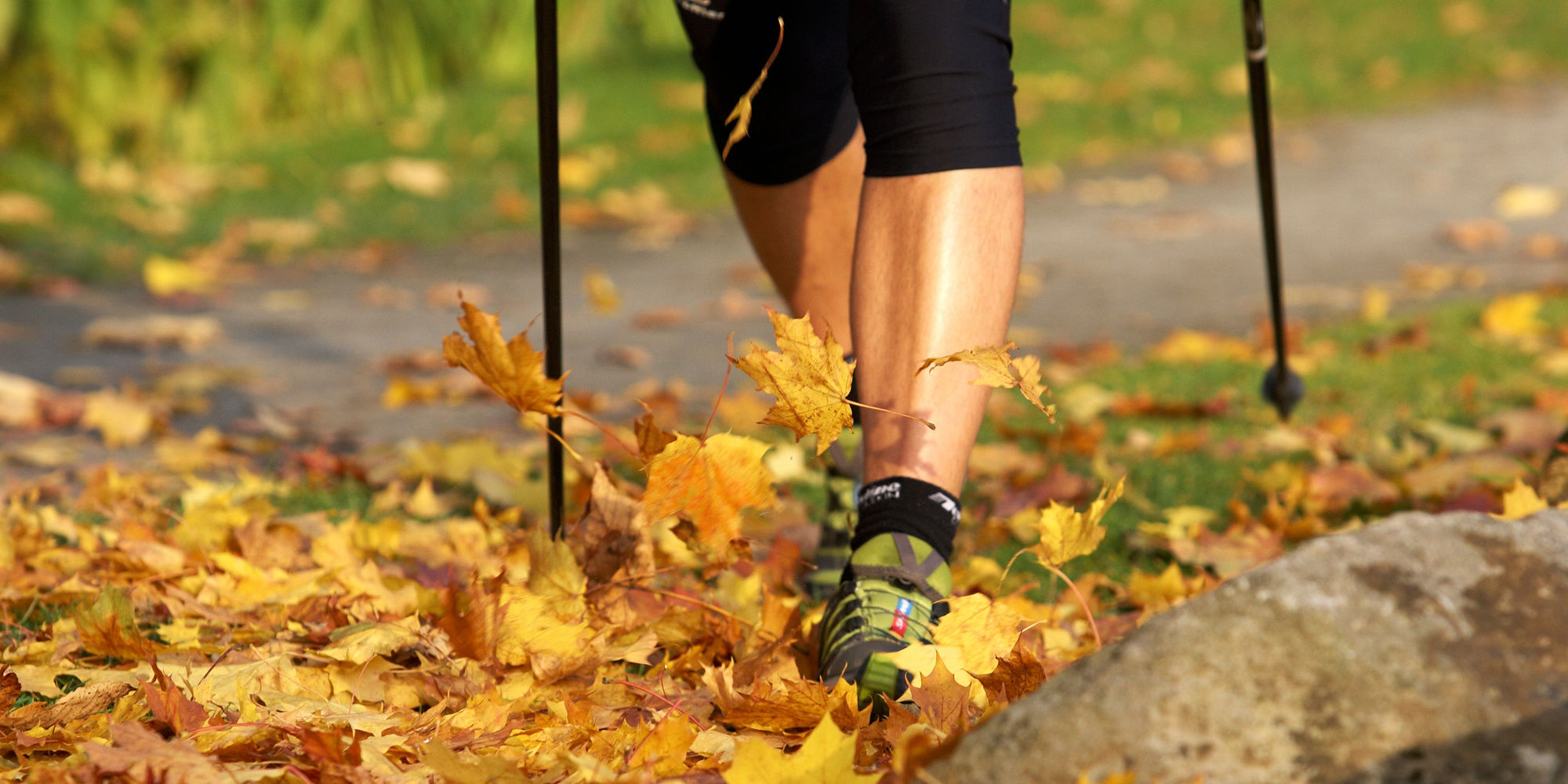 Nordic-Walking Touren Bayerischer Wald