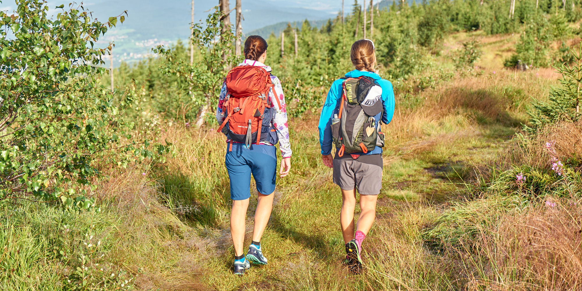 Nordic-Walking Touren Bayerischer Wald