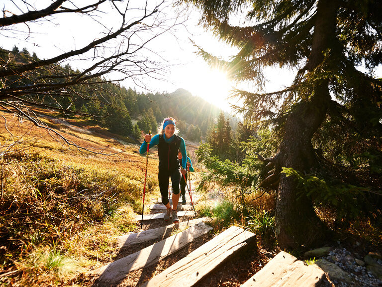 Eine Person wandert auf einem hölzernen Pfad durch den Bayerischen Wald.