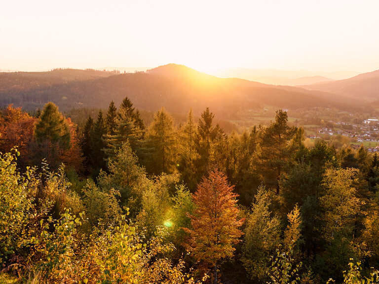 Pool auf sonniger Dachterrasse mit Sonnenschirmen und Waldpanorama vom Hotel Hüttenhof
