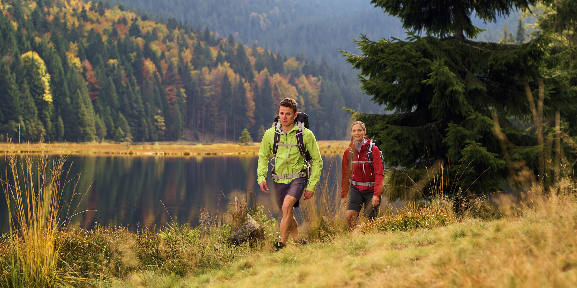 Radtouren Bayerischer Wald vom Bergdorf