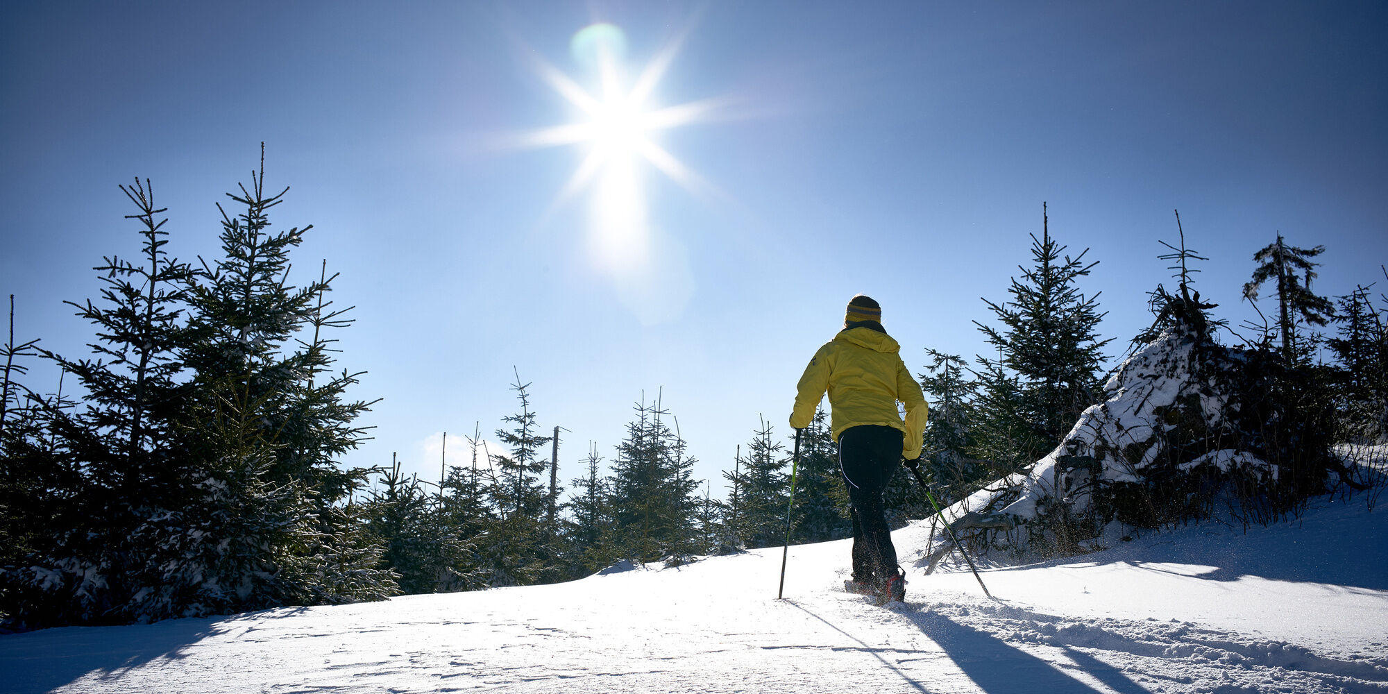 Schneeschuhwanderung durch den Bayerischen Wald