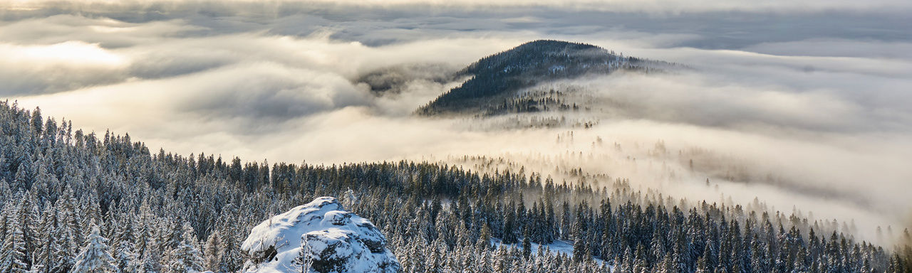 Skifahren Bayerischer Wald