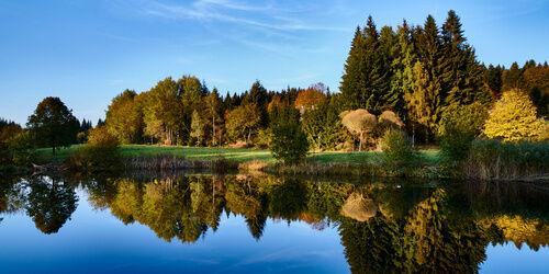 Sommer Nationalpark Bayerischer Wald