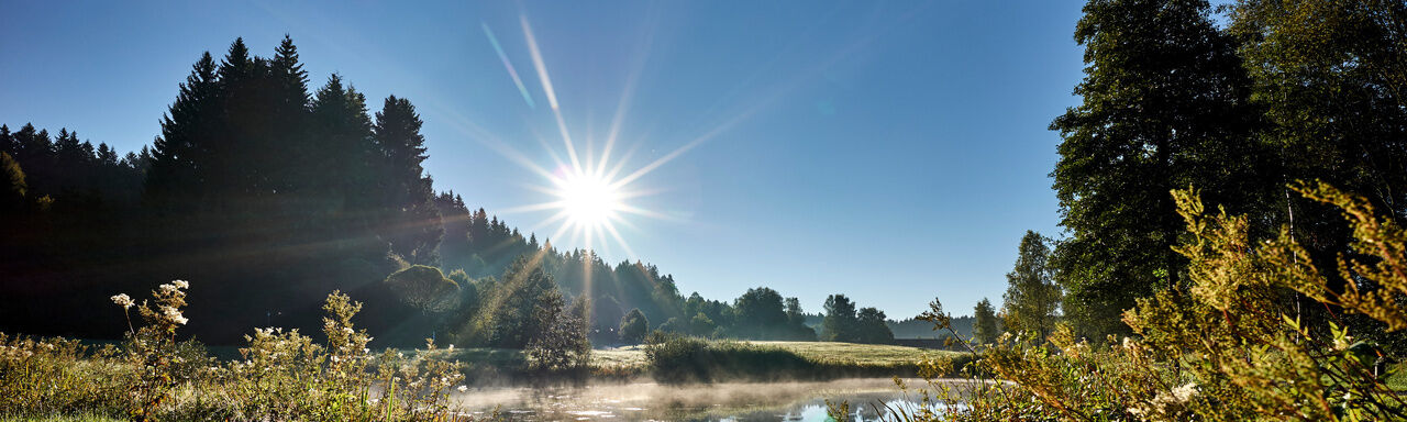 Wanderurlaub im Bayerischen Wald