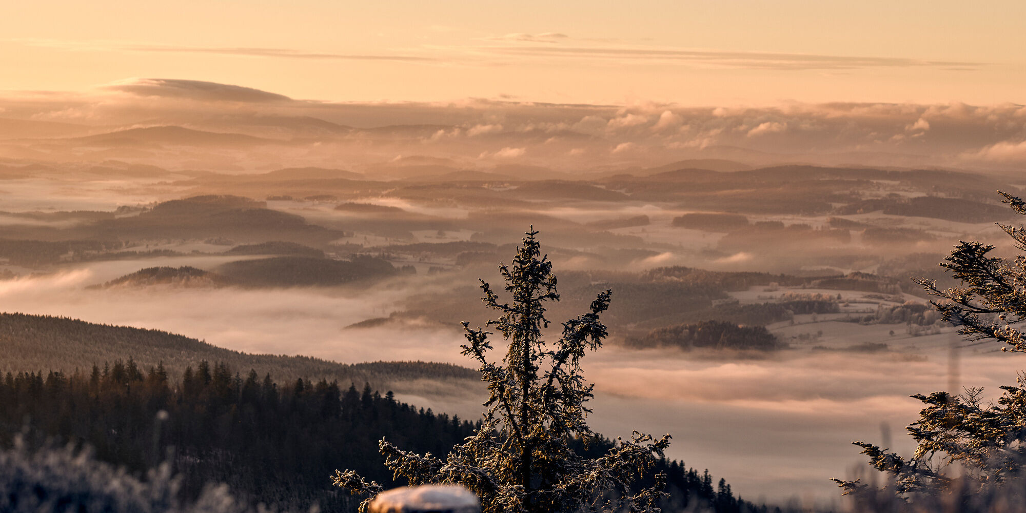 Verschneiter Bayerischer Wald