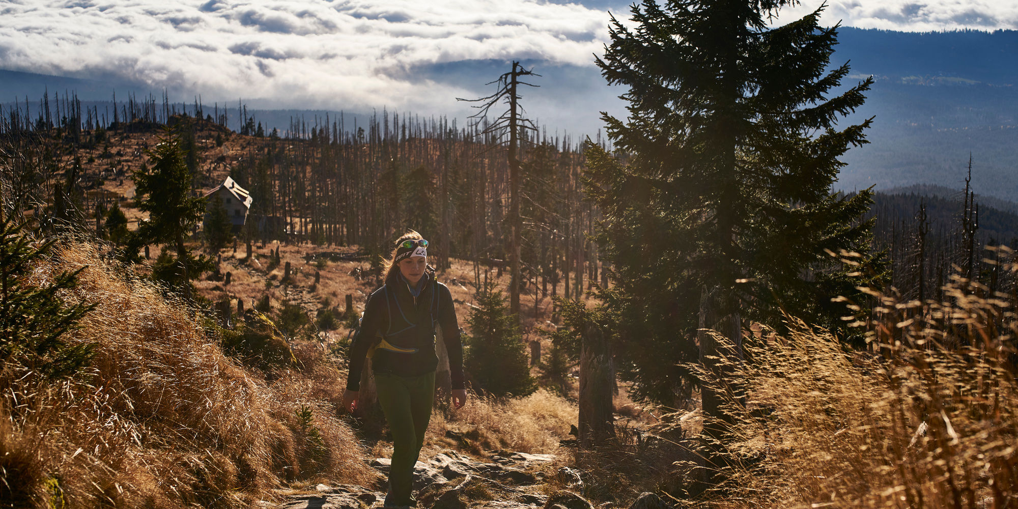 Wandergruppe Bayerischer Wald