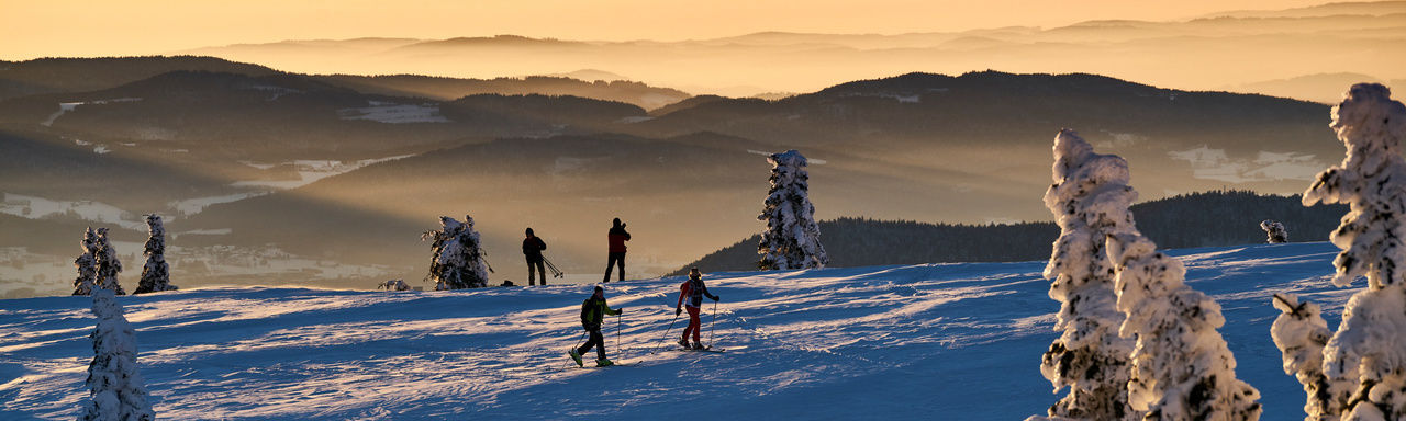 Winterlandschaft Bayerischer Wald