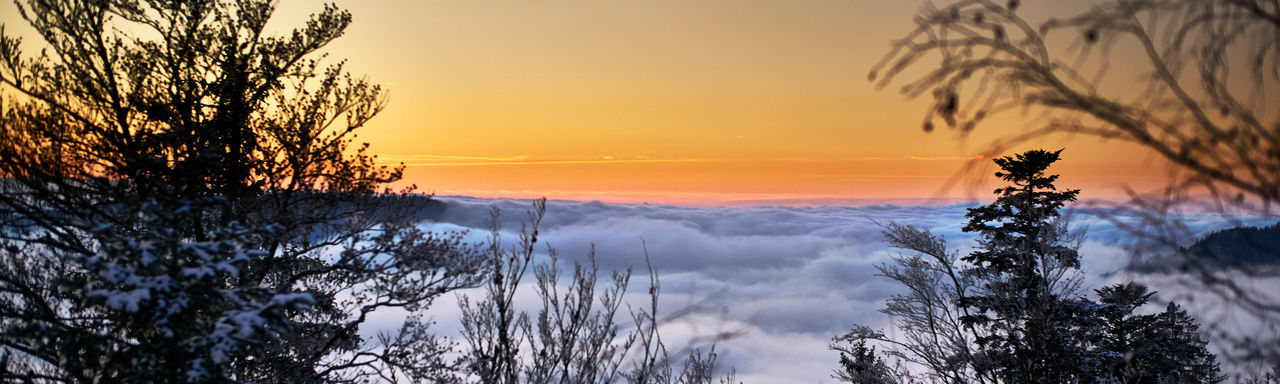 Winterurlaub Bayerischer Wald im Bergchalet